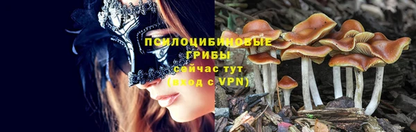 амфетамин Осинники
