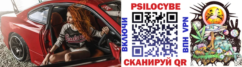 Галлюциногенные грибы Psilocybe Каменск-Уральский