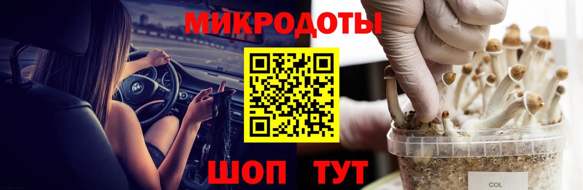 Галлюциногенные грибы Magic Shrooms  Вход с VPN  купить наркотик  Каменск-Уральский 